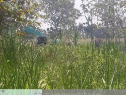 SOP Perizinan Penambangan Tidak Dijalankan Mana Mungkin Akan Menciptakan Green Mining ?